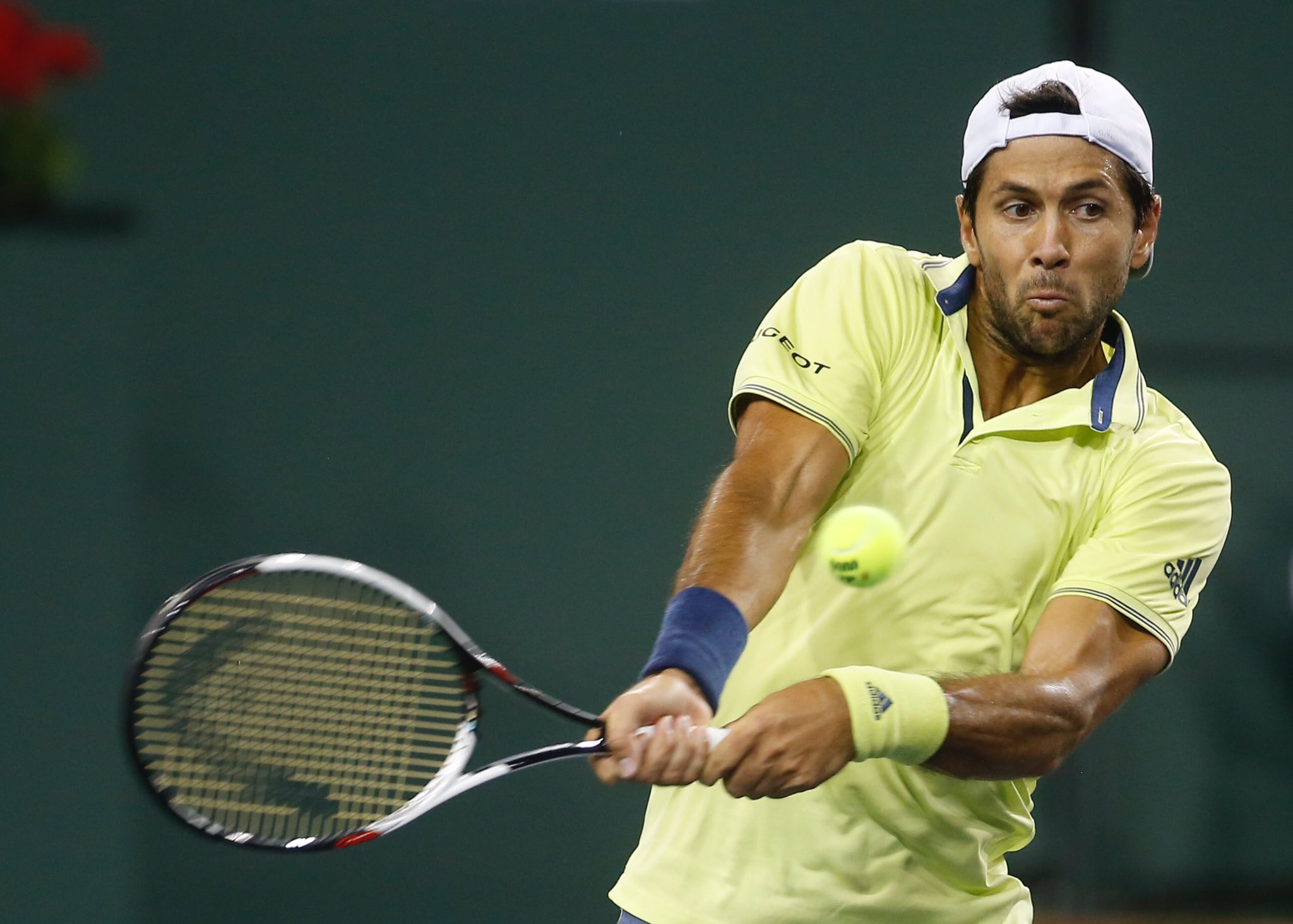 Grigor Dimitrov and Fabio Fognini